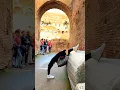 Where are you looking at: me or people? 🤍 🇮🇹