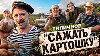 ТИПИЧНАЯ КАРТОШКА