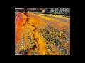 The Avalanches - Since I Left You (Ultimate Ultimate Single Version)