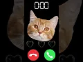 Download Lagu #iphone #cat #shorts #ringtone