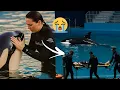 Download Lagu Here is the horrific video of the last moments Jessica was killed by her orca.