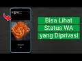 Lagu Cara Melihat Status WhatsApp yang Diprivasi dari Kita