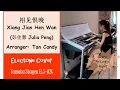 Download Lagu (Yamaha Electone Stagea ELS-02C) 相见恨晚 Xiang Jian Hen Wan (Brief Encounter) – 彭佳慧 Julia Peng MP3