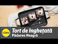 Download Lagu Tort rapid de inghetata Padurea Neagra • reteta Bucataria Lidl