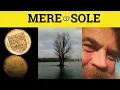 Sole or Mere - Sole Meaning