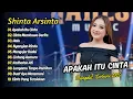 Download Lagu Shinta Arsinta - APAKAH ITU CINTA - HALU -CINTA MEMBAWA DERITA || DANGDUT TERBARU 2025