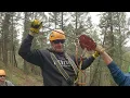 Zip-lining Denver Adventures Conifer CO