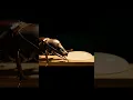 Download Lagu Who stands out? Beetle Eats Jelly!  カブトムシがゼリー भृंग ने जेली खाई! #shorts #insects #wildlife  #nature
