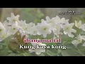 SANA MAULIT MULI - KARAOKE in the style of REGINE VELASQUEZ
