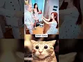 MR BOMBASTIC MOMENT ☠️💥 #shorts #tiktok #cat #memes #mrbombastic #catbombastic | MrCatBombastic2.0