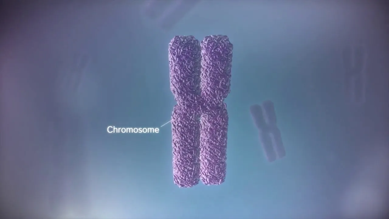 El Dogma Central de la Biología: ADN, ARN y Proteínas.