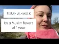 Download Lagu Revert Recites Surah Al-Mulk! #surahalmulk #quranrecitation #quran #fyp
