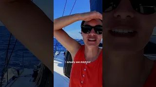 Dolphins come to play while we’re sailing!