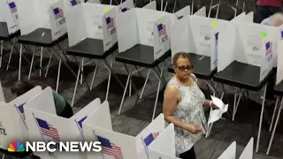 Democrats mobilize an ‘unprecedented’ defense to combat potential election disruption