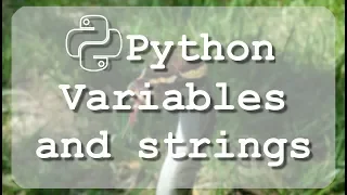 Learn to use Python variables and strings