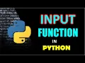 Input Function in Python 3 - With Examples