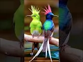 Download Lagu 🌿🦜Colorful Birds in the Wild | Nature's Beautiful Symphony 🎶🌳🐦 Beautiful Birds in Nature