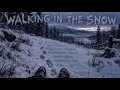 Walking in the snow by DJ