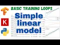 23 Basic training loops TensorFlow Tutorial