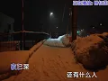 #回忆杀歌曲 #林忆莲 #伤痕 #音乐推荐
