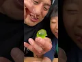 Download Lagu Groene druivengelei! - gekocht in Japan