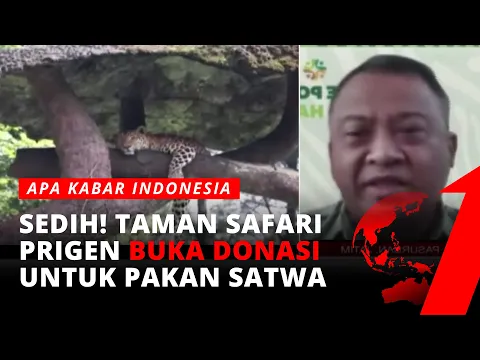 Pendapatan Menurun Drastis, Taman Safari Prigen Buka Donasi untuk Menghidupi Ribuan Satwa
