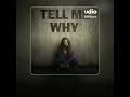 Download Lagu Supermode – Tell Me Why (PavLiN RMX Artificial Intelligence vocals Within Temptation)