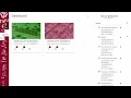 Getting Started with Canvas