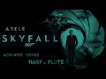 Skyfall, Adele (James Bond) - Myriam & Maia Darme (Flute and Harp Cover)