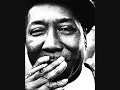 Muddy Waters - Champagne and Reefer [HQ]
