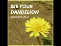 [INST] OOHYO 우효 -  민들레 Dandelion (single ver)