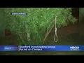 Download Lagu Authorities At Stanford Investigating Discovery Of Noose Hanging From Tree