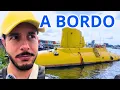 Download Lagu Cosa succede davvero al SAIL di Amsterdam 2025?  | Vlog SAIL 2025