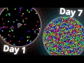 I Tried Programming YOUR CRAZY Ideas for a Week Pt 4