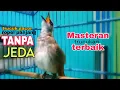 Download Lagu ROPEL PANJANG 1 NAFAS TANPA JEDA trucukan gacor