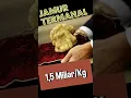 Download Lagu Jamur termahal di dunia, Truffle White Alba 1,5 Miliar perkilo #jamur #truffle #italy #food #langka