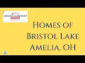 Homes For Sale In Bristol Lake Amelia Ohio