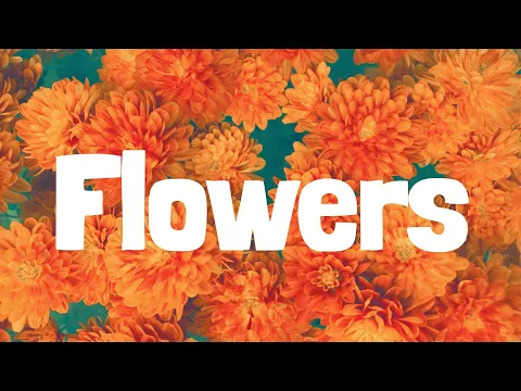 Download MP3 Miley Cyrus - Flowers | LYRICS | Enchanted - Taylor Swift