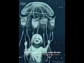 Download Lagu Hero-cash cash \