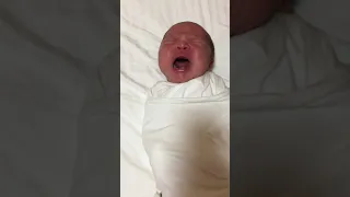 Newborn Baby Crying 