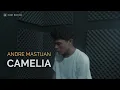 Download Lagu CAMELIA - IRWANSYAH | Cover By ANDRE Mastijan