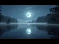 Download Lagu Whispers of the Forest – Under the Silver Moonlight Where the Moon Meets the Sea