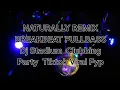 NATURALLY REMIX BREAKBEAT FULLBASS  Dj Stadium  Clubbing Party  Tiktok Viral Fyp