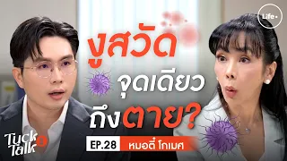 วัคซีนงูสวัสดิ์ฉีดเมื่อไหร่ได้บ้าง และใครควรรีบฉีด