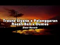 Download Lagu Tresno Liyane x Pelanggaran x Rasah Bali x Dumes Slow+Reverb Mashup Cidro Bareng🎧