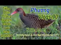 Lagu Tiếng Chim Chằng Nghịch Đánh Ngày Và Đêm 2021 ( File Ăn Chim Mạnh Nhất Hiện Nay ) _Phương vlogs 90