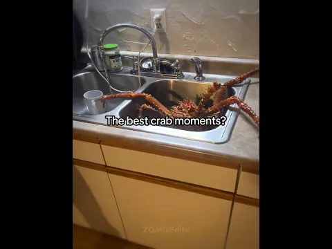 The best crab moments?