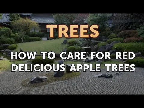 How to Care for Red Delicious Apple Trees