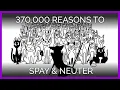 370 000 Reasons to Spay and Neuter An Animated Short