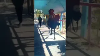 النايلية ريتاج عودي دونك ليا حوس بيا 